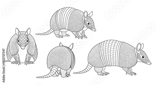Armadillo line art set with detailed patterns
