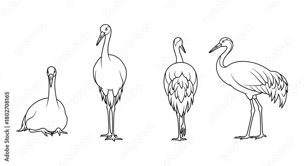 Obraz premium Elegant crane line art set: multiple poses and perspectives