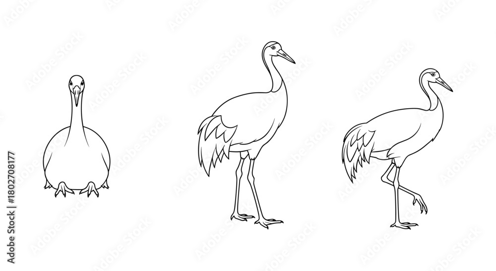 Obraz premium Evolution of crane bird walk cycle in minimalist line art