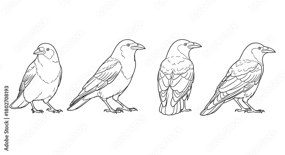 Fototapeta premium Raven outline: minimalist side profile line art of four ravens
