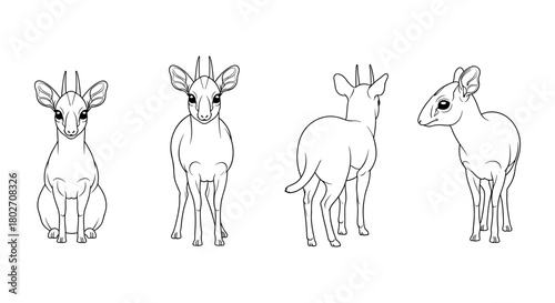 Cartoon antelope outline from various angles