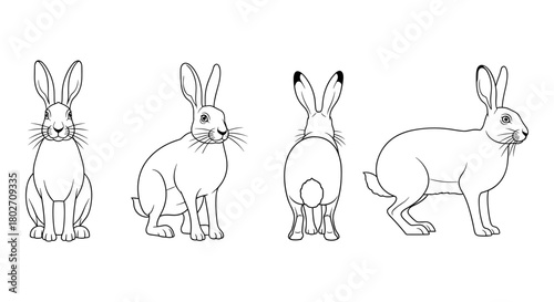 Outline drawing of rabbits in various poses