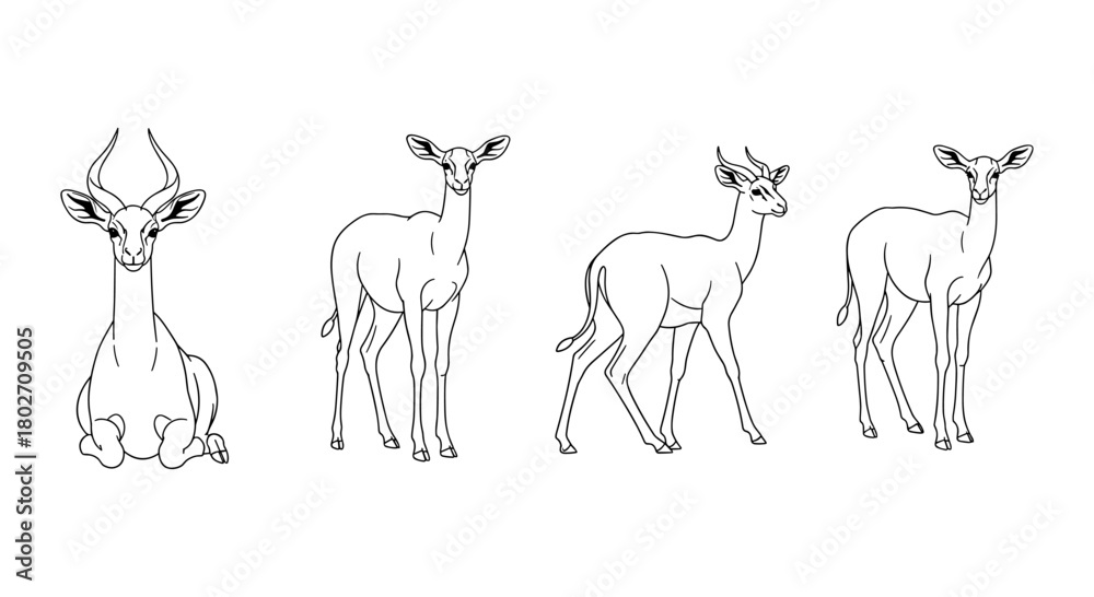 Naklejka premium Antelope line art: various poses of graceful wildlife illustrations