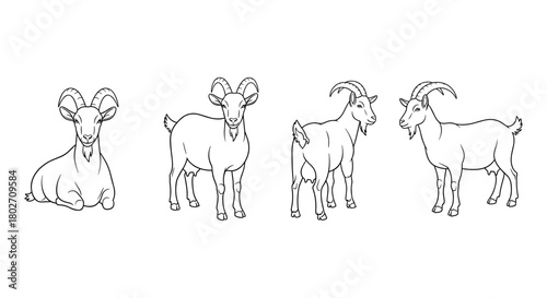 Collection of linear goat outlines featuring various poses and angles