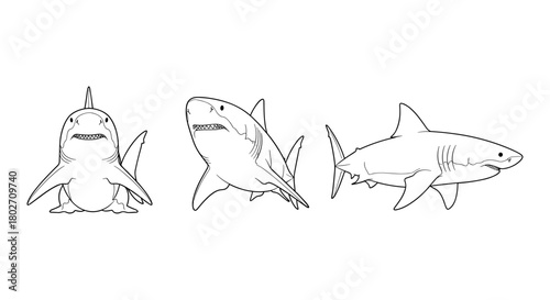 Three shark silhouettes: diverse poses in simple line art style