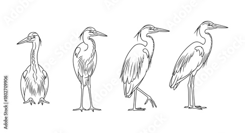 Elegant heron line art collection in various poses