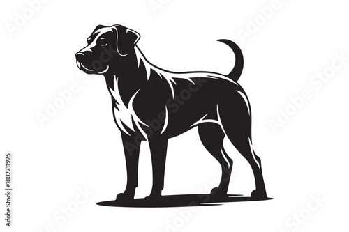 Strong silhouette of a standing pitbull dog