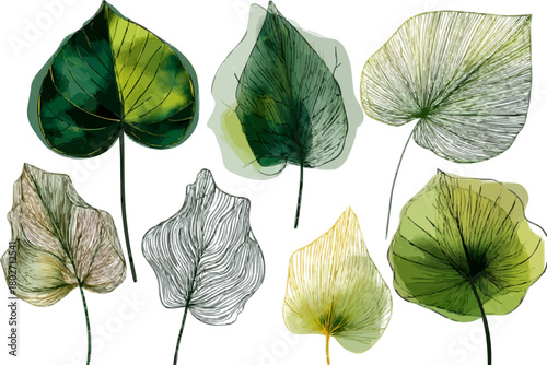 Nature's Palette: A Vibrant Display of Leafy Delights