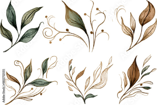 Nature's Bouquet: A Collection of Flower Illustrations