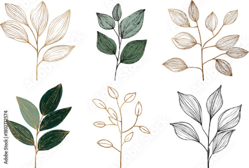 Eco-Chic Floral Collection: Six Organic Line Vector Illustrations for Natural Botanical Designs