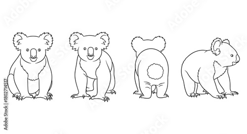 Four koala silhouette variations: front, back, side views in line art style