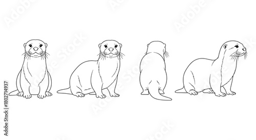 Otter silhouette set: front, side, and back view line drawings