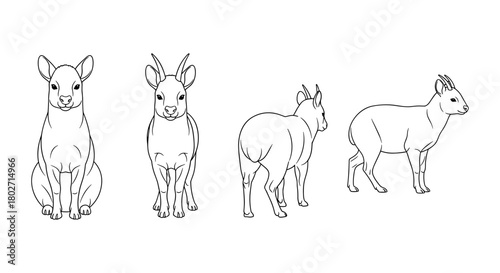 Outline art of standing and sitting african bovids in different poses