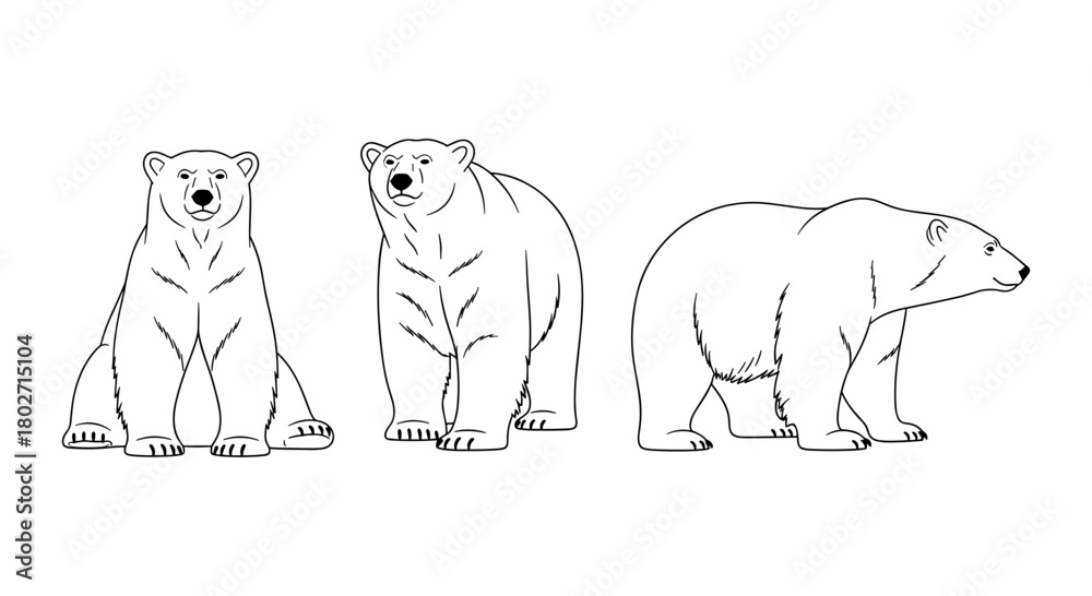 Obraz premium Polar bear silhouette variations showcasing majestic ursine postures and outlines