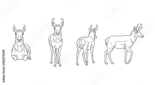 Antelope outline art: front, side, rear view in minimalist style