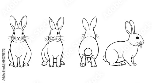Rabbit outline set: four perspectives of a cute bunny in clean linear style