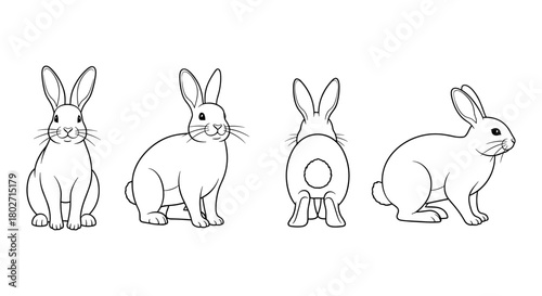 Linear rabbit set with front, side, and rear views in black and white