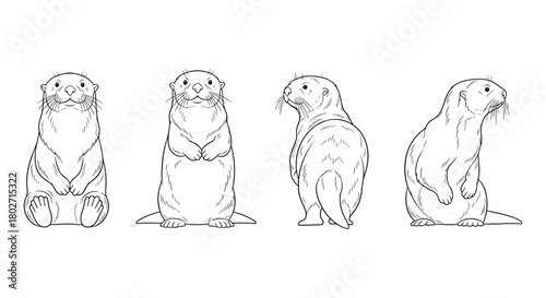 Outline cute otters posing in various positions on white background