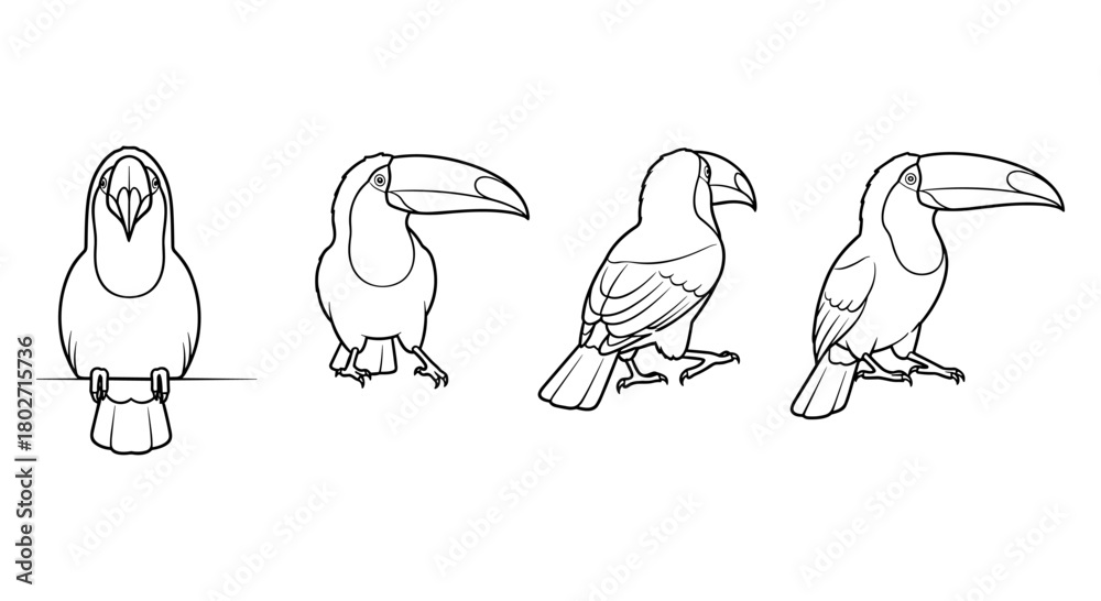 Naklejka premium Toucan outline set: four angles of tropical bird in minimalist line style