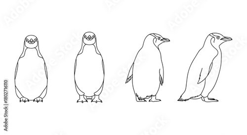 Penguin outline front and side views in minimalist style
