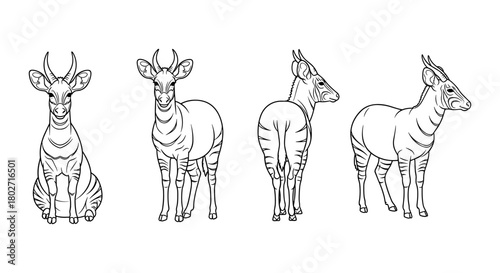 Hand drawn linear antelope in four poses on white background
