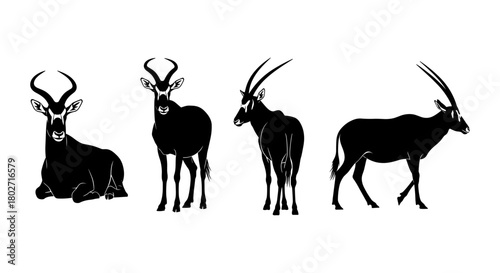 Silhouette antelope collection: elegant wildlife design with horns