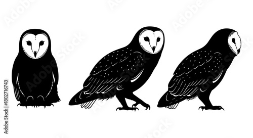 Silhouette owl collection: minimalist black and white barn owls