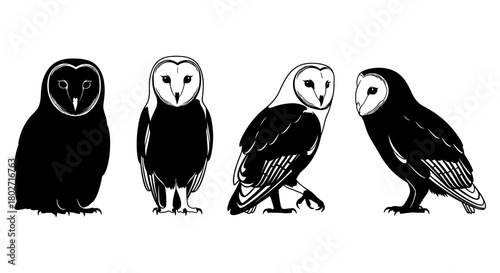 Stylized black and white owl silhouettes in standing poses