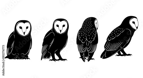 Elegant owl silhouettes set displaying various poses and intricate feather patterns