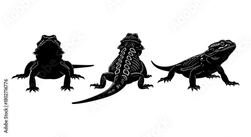 Silhouette reptile trio in black and white: three distinct bearded dragons