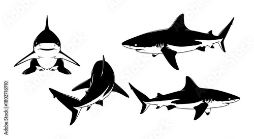 Dynamic shark silhouettes in various poses on white background
