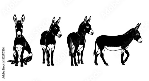Silhouette donkey poses in black and white animal art
