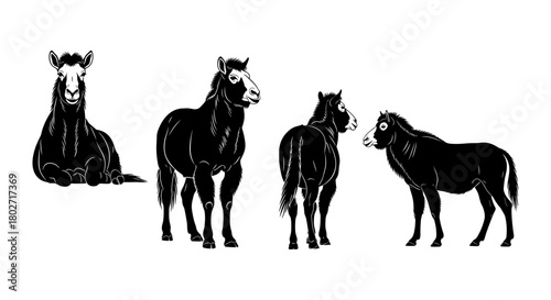 Silhouette set of llama poses on white background for creative design projects