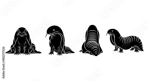 Silhouette walrus collection: front, side, back views in black and white