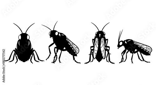 Animal silhouette set featuring crickets and insects in various poses