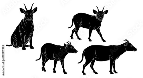 Silhouette designs of african animals featuring unique wild creatures on white background