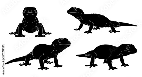 Silhouette geckos collection: diverse poses of black reptiles on white background