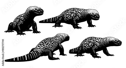 Silhouette set of monitor lizards in varied poses and textures on white background