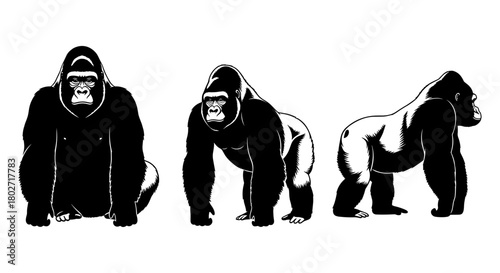 Gorilla silhouette trio: front, side, and back animal stances