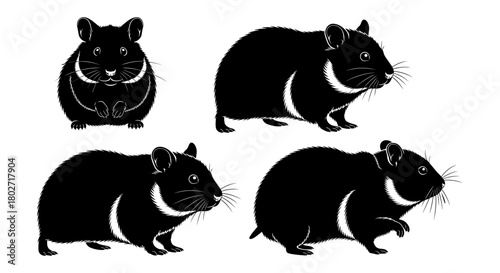 Silhouette of hamsters in various poses isolated on white background