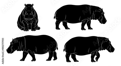 Silhouette hippo poses set: diverse hippopotamus in black on white background