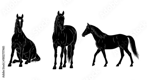 Elegant horse design set: silhouette style with three poses