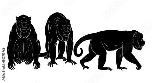 Monkey silhouette art: trio of intricate primate designs in black