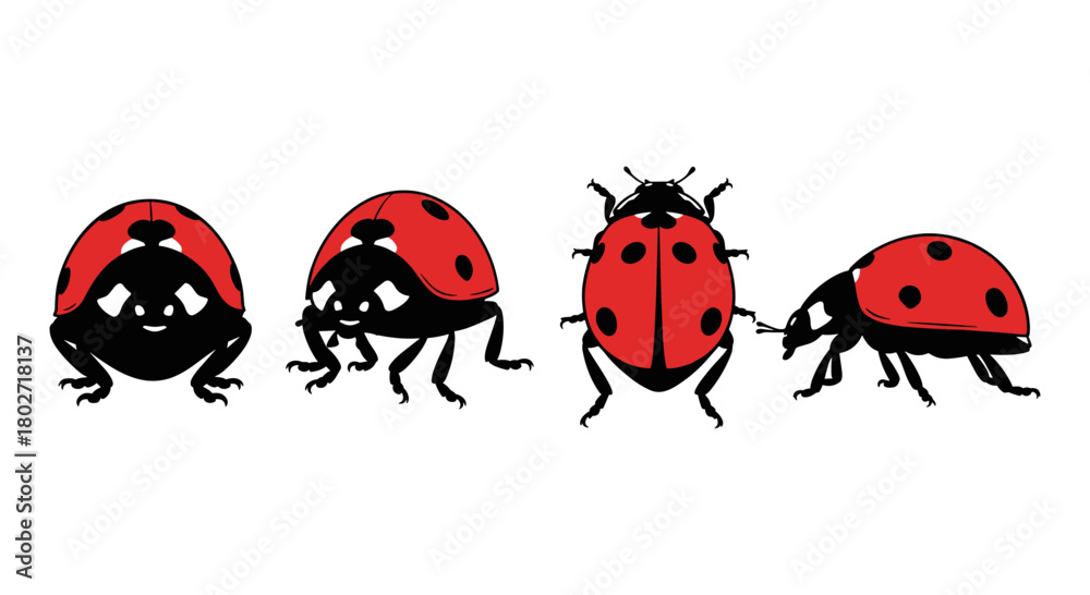 Fototapeta premium Ladybug silhouettes: detailed bug illustrations in various poses
