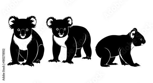 Silhouette of three koalas in various poses on white background