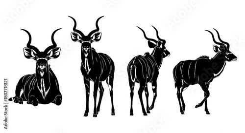 Elegant antelope silhouettes showcasing graceful poses and horns