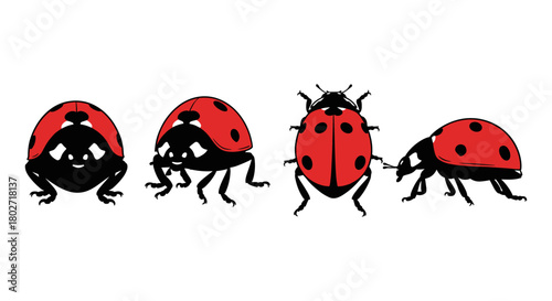 Ladybug silhouettes: detailed bug illustrations in various poses