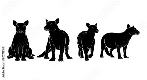 Silhouette series of thylacine from different angles on white background