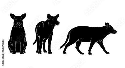Silhouette set of dogs in various poses - sitting, standing, walking