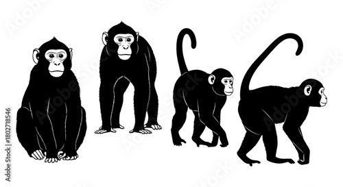 Silhouettes of four monkeys in various poses on white background